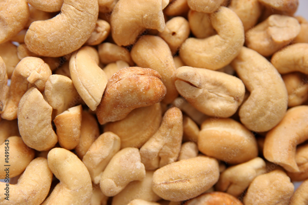 indian walnuts indian walnuts