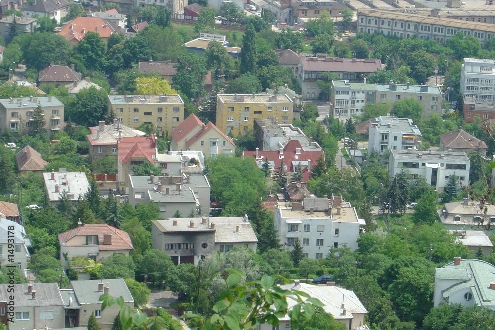 neighbourhood view