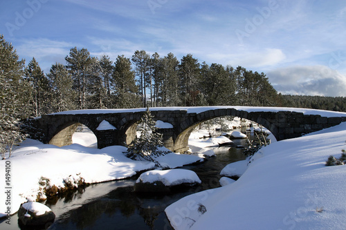 pont du tarn