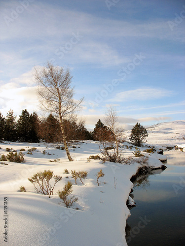 paysage d'hiver