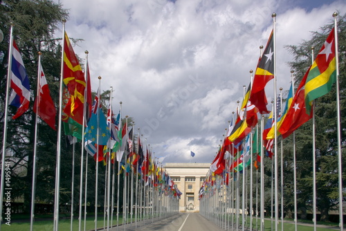 many national flags at un entry