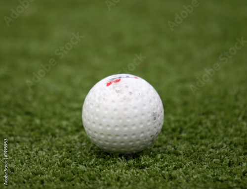 hockey ball on the grass