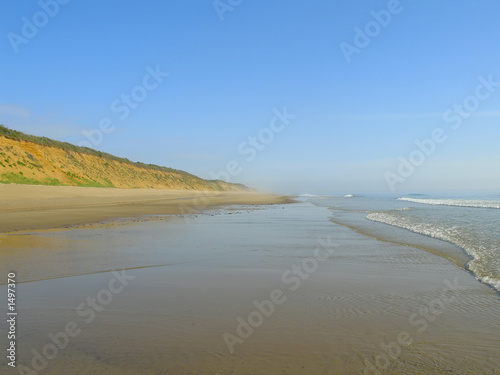 peaceful early morning view of the beach