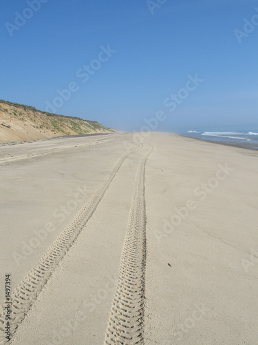 tracks in the sand 3