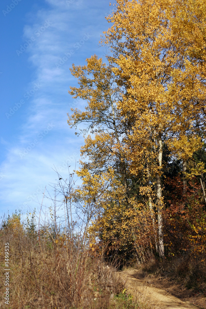 autumn countryside