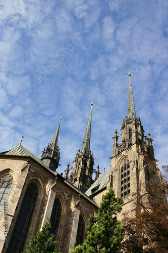 gothic cathedral of st. peter and paul