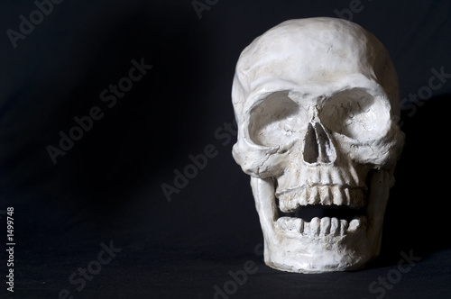 Obraz na plátně skull