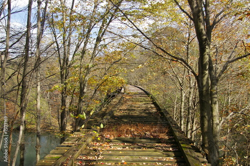 Slika na platnu abandoned pennsylvania railroad trestle