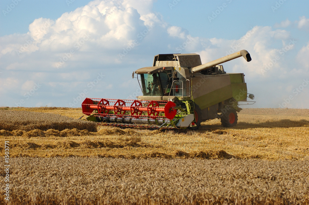 Obraz premium moisson du blé