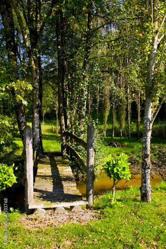 nature 3