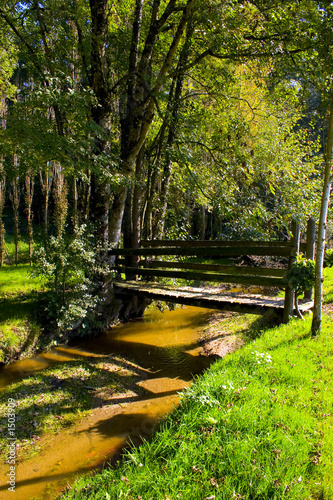 nature 1