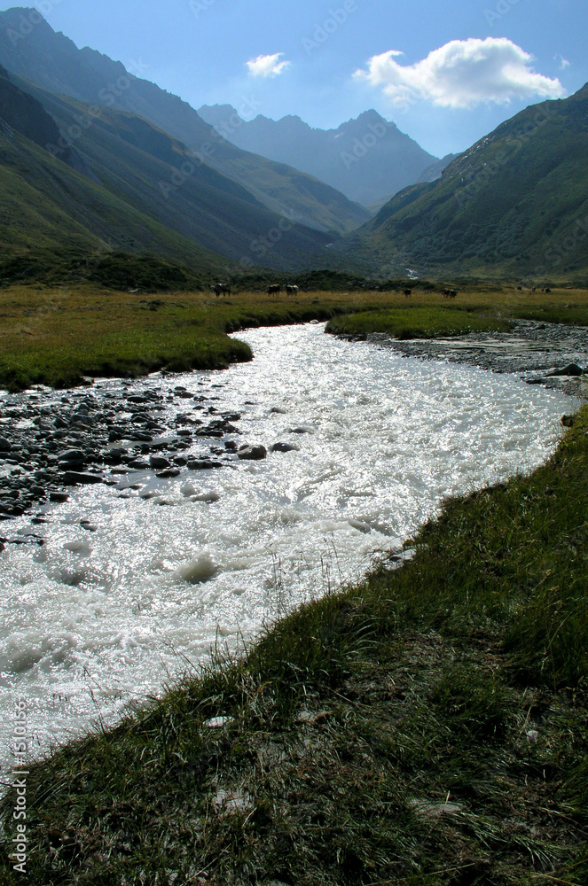 Fotografie torrent dans les alpes