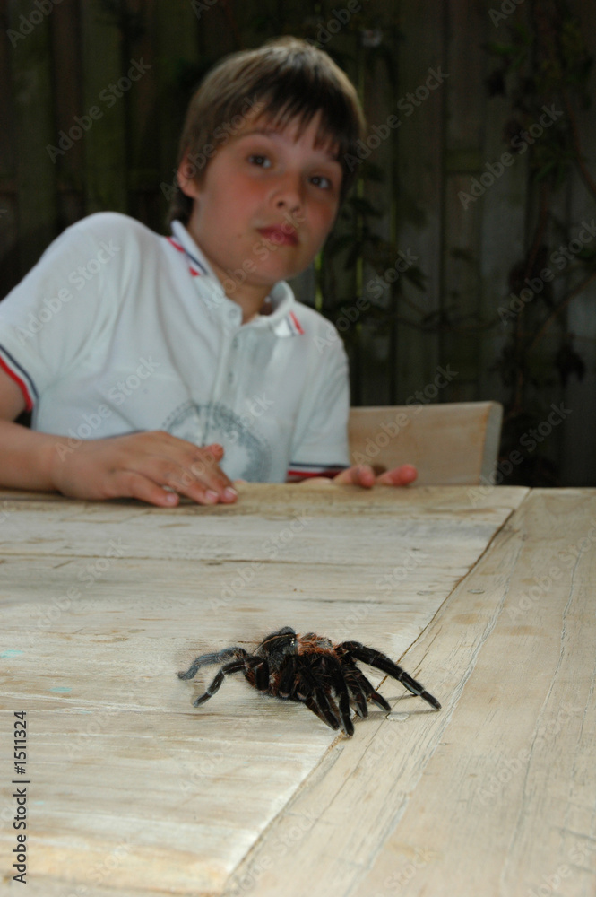 boy scared by bird spider skin Stock Photo | Adobe Stock