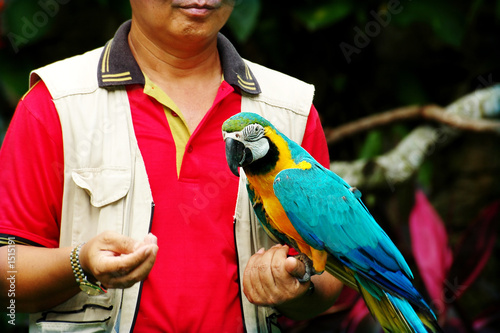 man holding a parrot photo