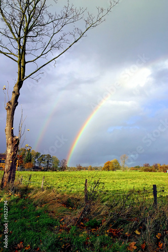 rainbow1