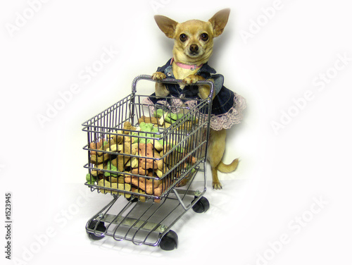 grocery shopping
