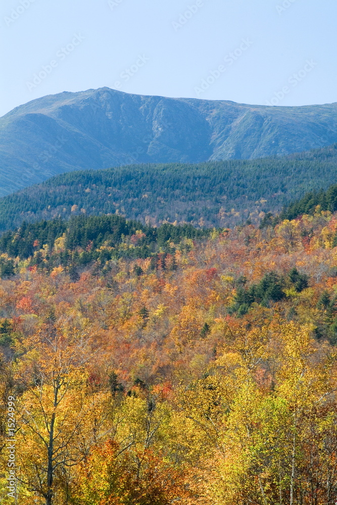 mt washington with fall colored trees