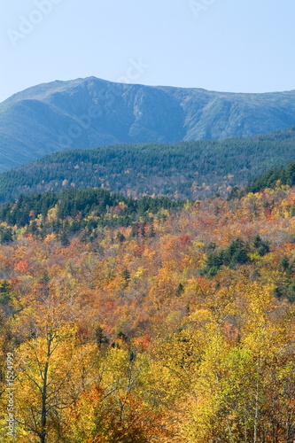 mt washington with fall colored trees