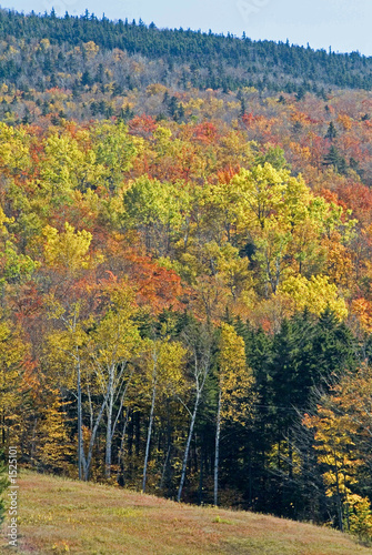 fall peak season foliage in new hampshire