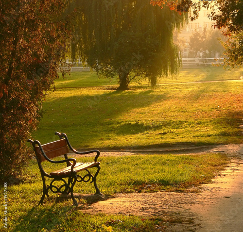 park bench at sunset photo