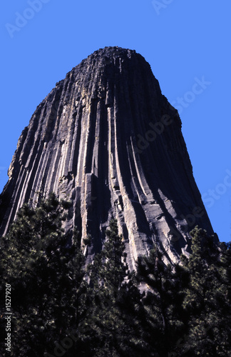 the devil's tower photo