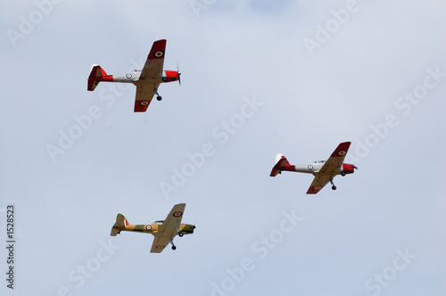 three dhc1 de havilland chipmunks photo