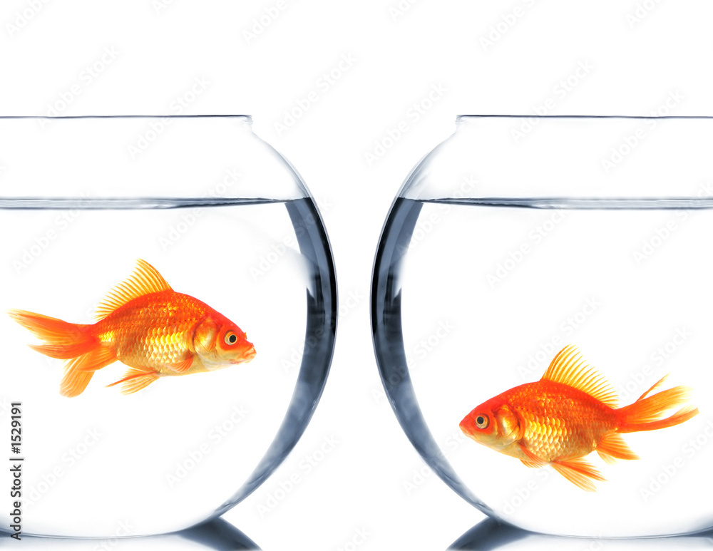 séparation, divorce StockFoto Adobe Stock
