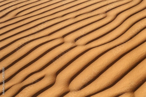 sand dune rib photo
