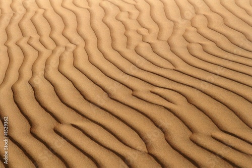 sand dune ribs