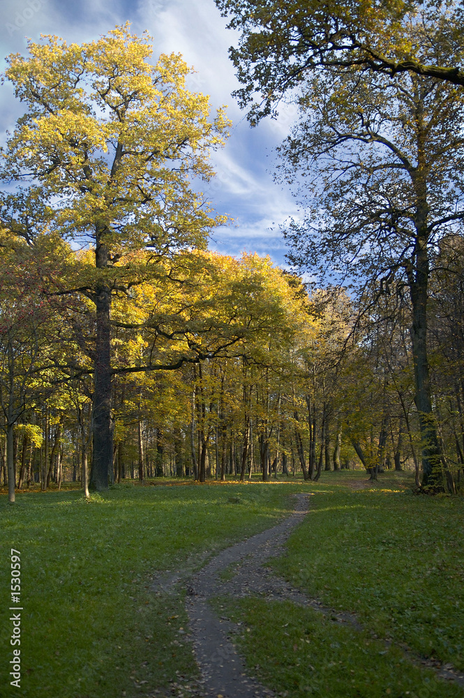 autumn park