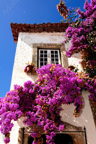 Fotografija portugal, obidos: white houses of obidos village