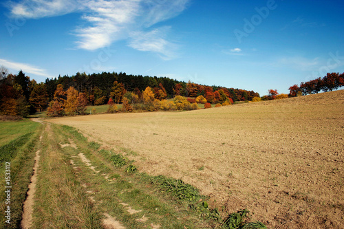 road through the autumn countryside