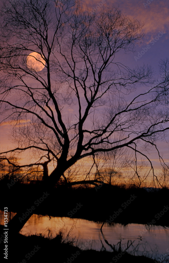 Abendstimmung, Mond, Fluß, Hochformat, Textraum, copy space Abendstimmung, Mond, Fluß, Hochformat, Textraum, copy space