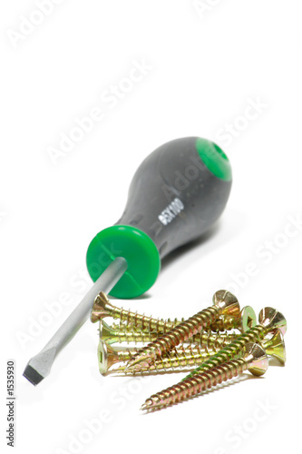 screwdriver and screws photo