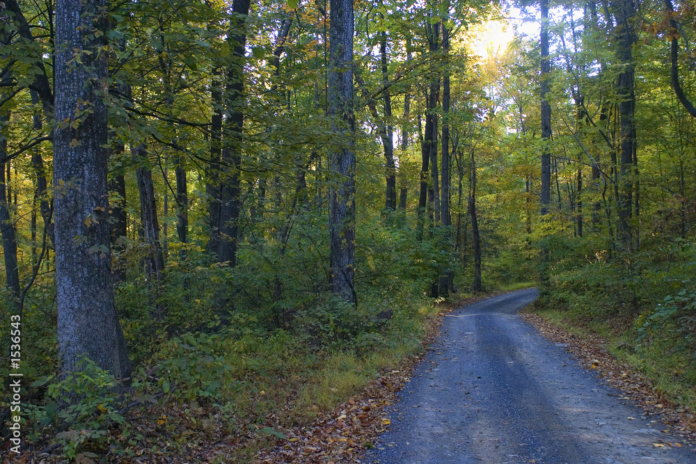 backroad october