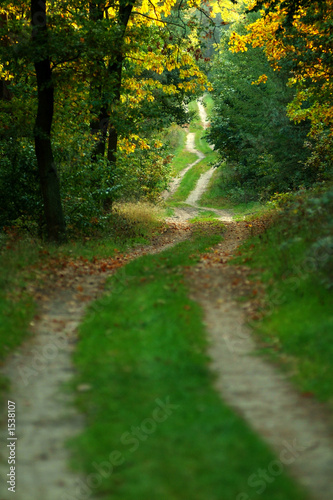 waldweg
