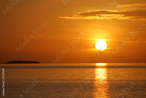 Fototapeta Naklejka Na Ścianę i Meble -  paradise