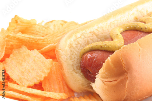 hot dog