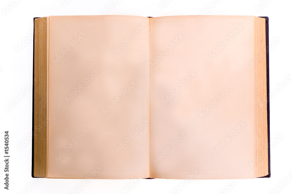 old book with blank pages old book with blank pages