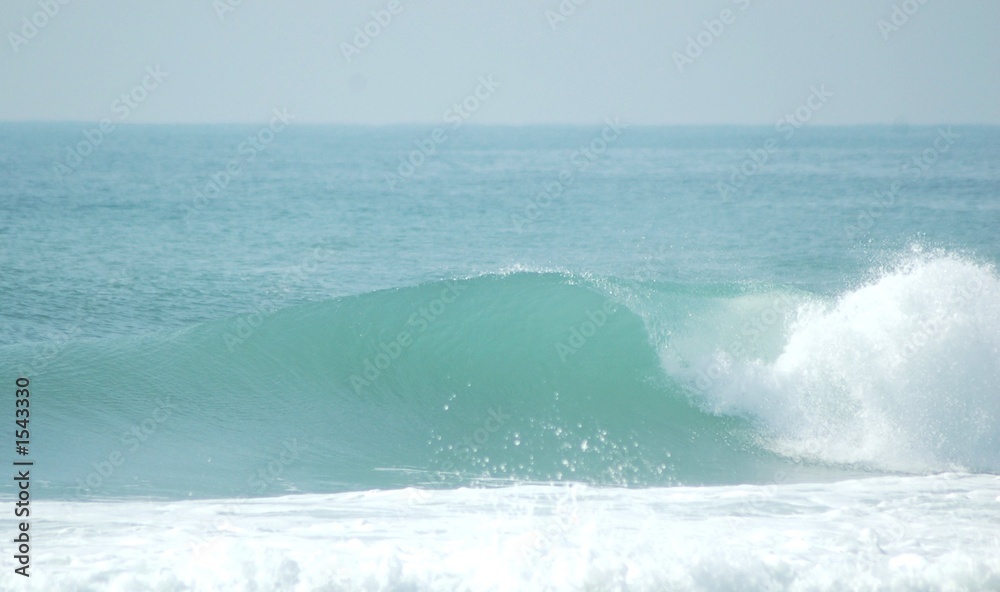 Fototapeta premium the wave