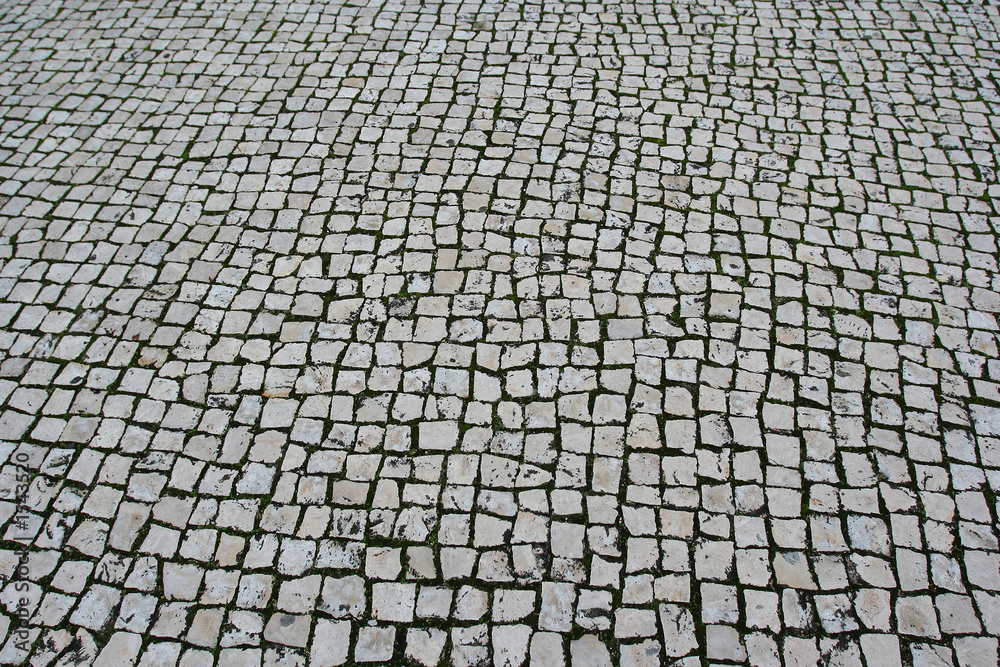 evora bricks with square shape evora bricks with square shape