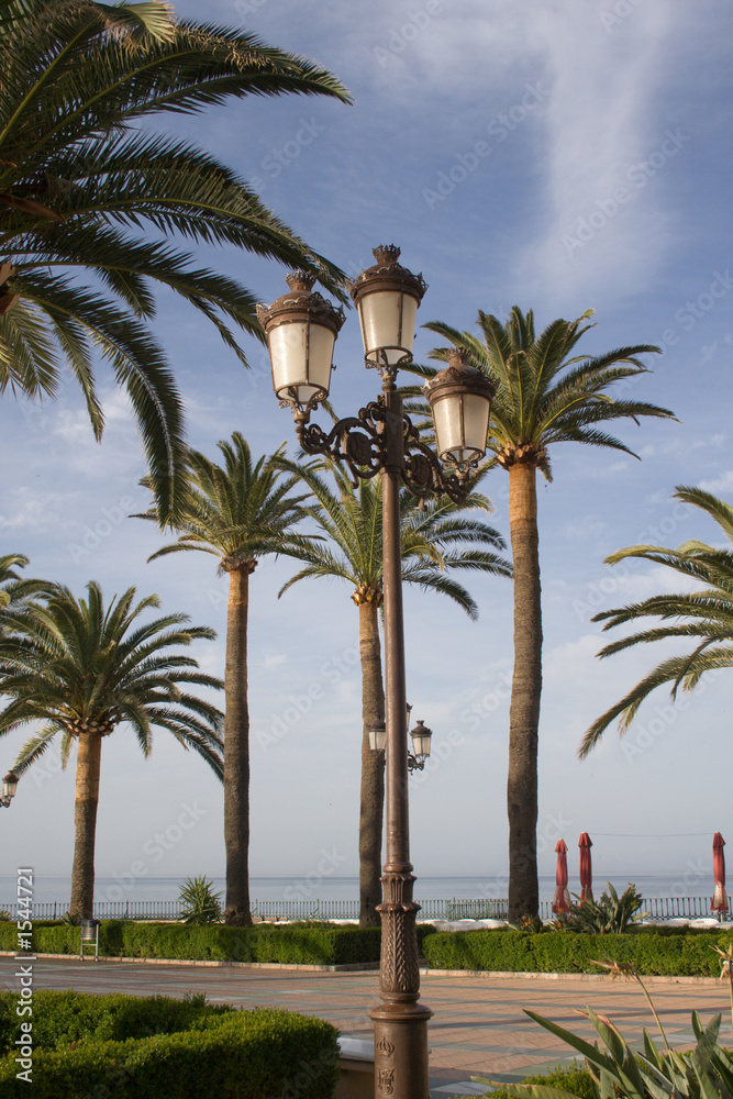 lamp post and palm trees