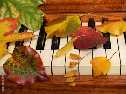 autumn music tickles the ivories