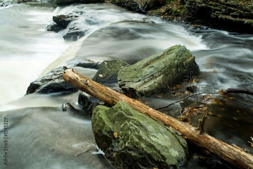 fallen tree log laying in flowing stream photo