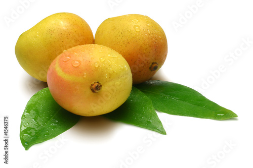 three mangoes