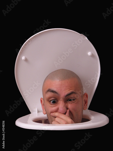 head in the toilet