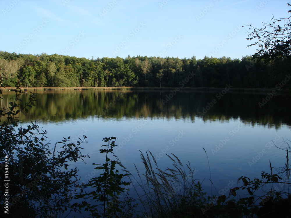 Fototapeta premium waldsee 2