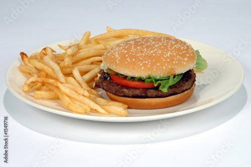 french fries and hamburger on a plate