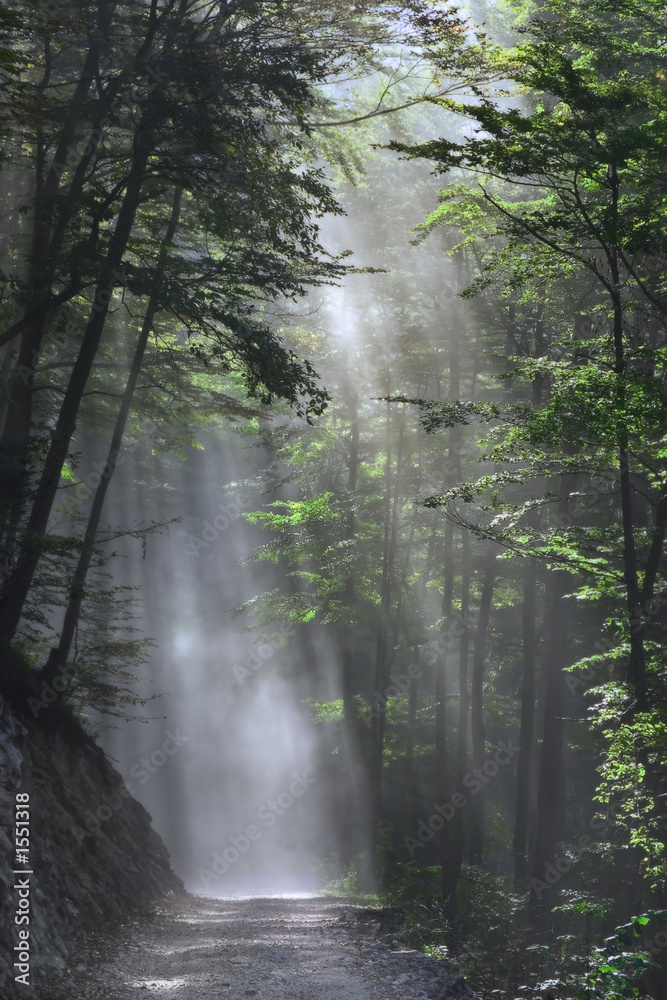 Fototapeta premium es verschwinden die geister der nacht