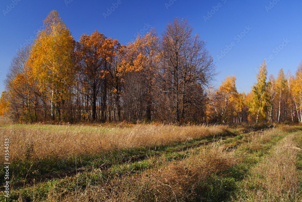 the end of october the end of october